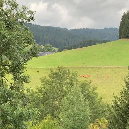 Kuckucksnest Jostal Apartment Titisee-Neustadt Exterior photo