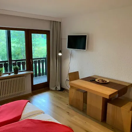 Kuckucksnest Jostal Apartment Titisee-Neustadt Exterior photo